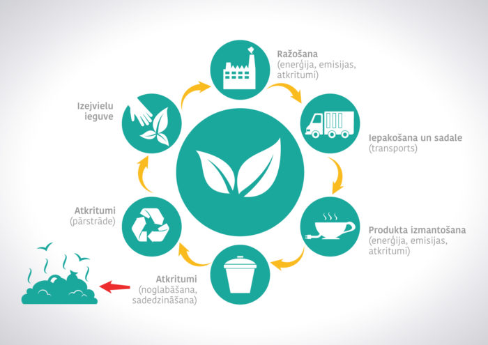 Tējas dzīves cikls